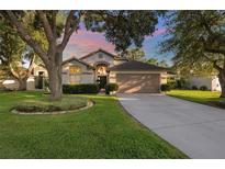 Charming single-Gathering home with a well-maintained lawn, mature trees, and a two-car garage at 2043 Wrangler Dr, Brandon, FL 33511