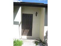Welcoming front entrance with a classic brown door and decorative exterior lighting fixture at 5301 Hopedale Dr, Tampa, FL 33624