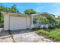 Charming single-story home with attached garage and mature tropical landscaping at 10125 Cherry Creek Ln, Port Richey, FL 34668