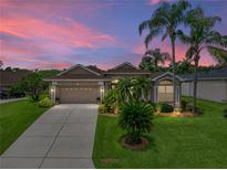Charming single-story home featuring a well-manicured lawn, mature palm trees, and a welcoming two-car garage at 12413 Woodlands Cir, Dade City, FL 33525