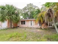 Charming single-story home with peach exterior, lush palm trees, and a well-manicured front lawn at 1808 Elmwood Dr, Oldsmar, FL 34677