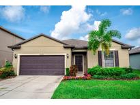 Charming single-story home featuring a well-manicured lawn, lovely flower beds, and a two-car garage at 5003 Wabash Pl, Riverview, FL 33578