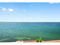 Expansive ocean view from this condo; perfect spot for relaxation with rooftop detail shown at 6372 Palma Del Mar S Blvd # 601, St Petersburg, FL 33715