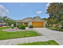 Charming single-story home featuring a well-manicured lawn and a two-car garage at 11415 Bright Star Ln, Riverview, FL 33569