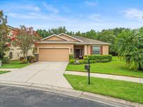 Charming one-story home features a well-manicured lawn and a two-car garage at 27546 Stonecreek Way, Wesley Chapel, FL 33544