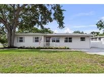 Charming single-story home with a well-maintained lawn, mature trees, and a welcoming entrance at 4002 W Watrous Ave, Tampa, FL 33629