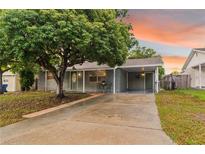 Charming single-story home featuring a covered carport, lush tree, and neutral-colored exterior paint at 4318 Mesa Dr, New Port Richey, FL 34653