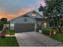 Charming single-story home featuring a two-car garage, covered porch, and manicured landscaping at 1701 Bonita Bluff Ct, Ruskin, FL 33570