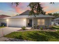 Charming single Gathering home with a two-car garage, manicured lawn, and a welcoming entrance at 2108 Delightful Dr, Ruskin, FL 33570