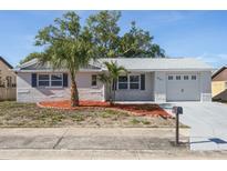 Charming single-story home featuring a well-manicured lawn and freshly painted exterior at 6442 Sutherland Ave, New Port Richey, FL 34653