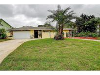 Charming one-story home with a well-maintained lawn and a driveway leading to an attached garage at 1117 S Florida Ave, Tarpon Springs, FL 34689