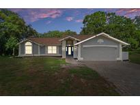 Charming single-story home featuring a two-car garage and landscaped front yard, set against a colorful sunset sky at 204 Oak Lake Dr, Spring Hill, FL 34608