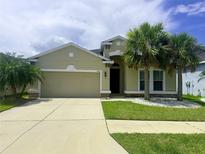 Charming one story home with a two car garage, palm trees, manicured lawn, and beige exterior paint at 5082 Inshore Landings Dr, Apollo Beach, FL 33572