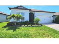 Charming home featuring a beautifully landscaped yard with palm trees and a well-maintained lawn at 9024 Barrier Coast Trl, Parrish, FL 34219