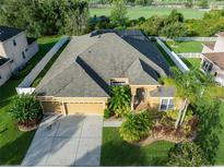 Stunning aerial view of home featuring lush landscaping, screened in pool, and a three car garage at 10513 Palm Cove Ave, Tampa, FL 33647