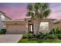 Charming single-story home with a two-car garage, landscaped front yard, and beautiful palm tree at 3060 Mountain Spruce Ter, Wesley Chapel, FL 33543