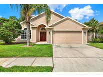 Charming single-Gathering home featuring a manicured lawn, a palm tree, and a two-car garage at 4901 Windingbrook Trl, Wesley Chapel, FL 33544