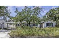 Charming single story home featuring a carport, mature landscaping, and a welcoming facade at 4206 W Palmira Ave, Tampa, FL 33629