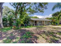 Charming single-story home with well-kept lawn and mature trees at 8701 Driftwood Drive Dr, Tampa, FL 33615