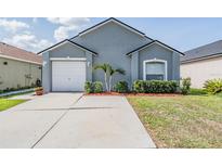 Charming single-story home with a well-manicured lawn and a two-car garage at 30217 Double Dr, Wesley Chapel, FL 33545