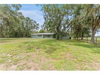 Single story home with a large front yard surrounded by mature trees and Spanish moss at 9819 Allen Rd, Lithia, FL 33547