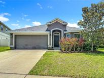 Charming single-story home with a two-car garage, well-maintained lawn, and lovely landscaping at 14371 Edinburgh Moor Dr, Wimauma, FL 33598