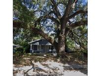 Charming single-story home featuring a cozy porch, shaded by a large, mature tree, and surrounded by a chain link fence at 510 E Lake Ave, Tampa, FL 33603