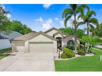 Charming single-story home with a three-car garage, landscaped lawn, and mature palm trees on a sunny day at 7101 Bucks Ford Dr, Riverview, FL 33578
