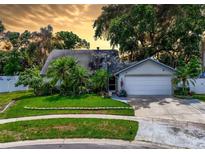 Charming single-story home featuring a well-manicured lawn, mature trees, and a two-car garage at 7111 Lawnview Ct, Tampa, FL 33615