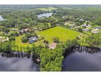 Beautiful aerial view of a lakeside home with lush greenery and a private pool at 820 Newberger Rd, Lutz, FL 33549