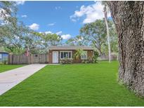 Charming home with a well-maintained lawn, a concrete driveway, and a traditional American flag at 3106 E Diana St, Tampa, FL 33610