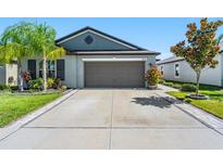 Charming single-story home featuring a two-car garage, landscaped yard, and well-maintained lawn at 9839 Lemon Drop Loop, Sun City Center, FL 33573