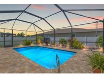 Sparkling screened-in pool with brick deck and lush landscaping offers a private outdoor retreat at 13301 Waterleaf Garden Cir, Riverview, FL 33579