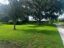 Beautiful single-story home with large oak trees providing shade and curb appeal at 3505 Medulla Rd, Plant City, FL 33566