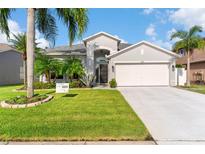 Beautiful single-story home featuring a well-manicured lawn and tropical landscaping, creating curb appeal at 1631 Shady Oaks Dr, Oldsmar, FL 34677