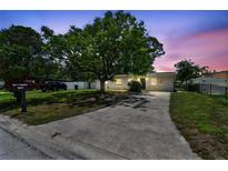Charming single-story home with a spacious front yard and long driveway at 7704 Tanglewood Ln, Tampa, FL 33615