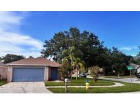 Charming single-story home with a well-manicured lawn, mature trees, and a blue painted two-car garage door at 11022 Connacht Way, Tampa, FL 33610