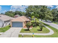 Charming single-story home with a well-maintained lawn, palm trees, and attached two-car garage at 11022 Connacht Way, Tampa, FL 33610