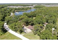 Stunning aerial view of a home surrounded by lush greenery and a serene lake at 1753 Ranchette Rd, Wesley Chapel, FL 33543