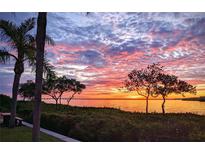 Breathtaking sunset view over the bay, featuring lush vegetation and palm trees, creating a serene landscape at 2739 Via Capri # 1039, Clearwater, FL 33764