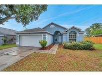 Charming single-story home features a two-car garage and well-maintained landscaping at 243 Chardonnay Pl, Valrico, FL 33594