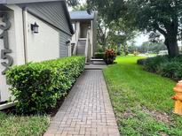 Inviting walkway leads to this condo with mature landscaping and exterior lighting at 3151 Landmark Dr # 115, Clearwater, FL 33761