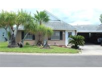 Charming single-story home with mature landscaping, including palm trees, and a covered carport at 6144 Elmhurst Dr, New Port Richey, FL 34653