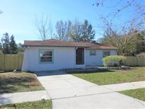 Cozy home featuring a concrete driveway, and charming curb appeal with its well-manicured lawn and inviting entryway at 201 Faithway Dr, Seffner, FL 33584