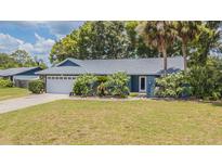 Charming single-story home with a well-maintained lawn, mature landscaping, and an attached two-car garage at 23067 Brighton Pl, Land O Lakes, FL 34639
