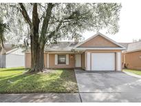 Charming single-story home with a well-maintained lawn and mature tree shading the front at 4607 N Country Hills Ct, Plant City, FL 33566