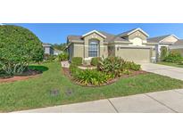 Charming single-Gathering home with lush landscaping and a well-maintained lawn at 5046 Gato Del Sol Cir, Wesley Chapel, FL 33544