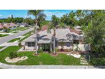 Charming single-story home with a well-manicured lawn and mature palm trees in a quiet neighborhood at 6001 Lemon Tree Ct, Tampa, FL 33625