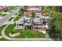 Charming single-story home featuring lush landscaping, two tall palms, a stone walkway, and a well-maintained lawn at 6001 Lemon Tree Ct, Tampa, FL 33625