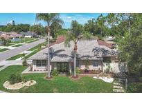 Charming single-story home featuring a well-manicured lawn and lush landscaping including palm trees at 6001 Lemon Tree Ct, Tampa, FL 33625